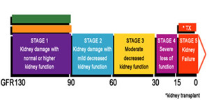 CKD basics